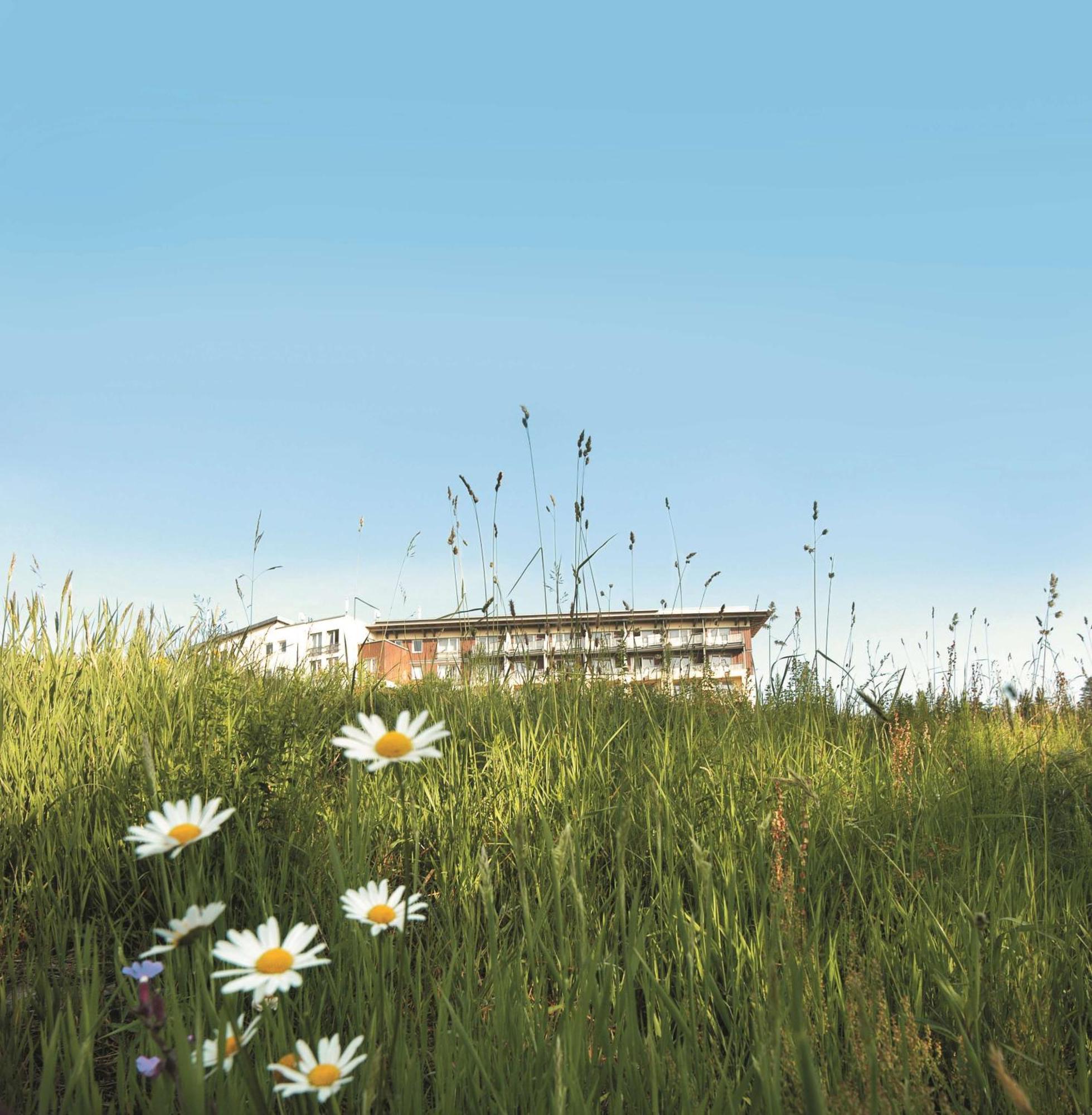 Wellness-& Nationapark Hotel Schliffkopf, Bwsc Baiersbronn Kültér fotó